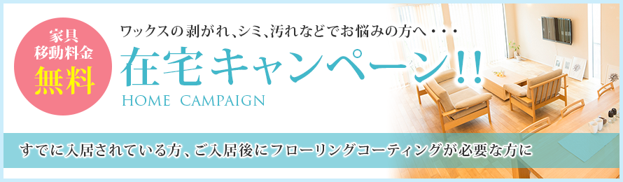 在宅キャンペーン 在宅キャンペーン